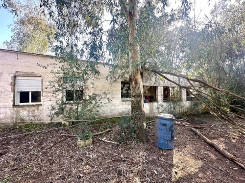 Santa Maria De Trasierra Córdoba hus på landet foto 6244096
