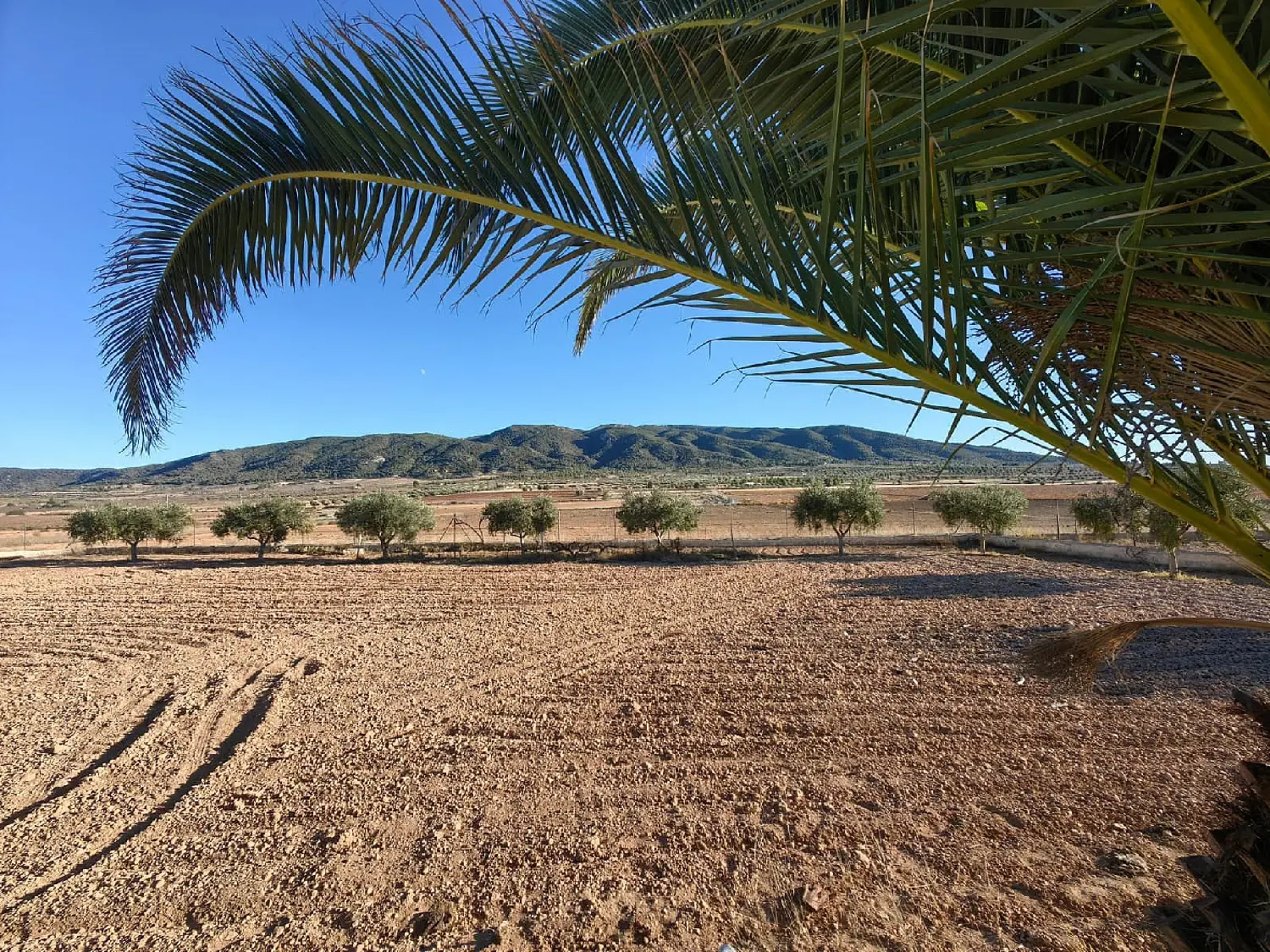  till salu hus på landet Torre Molina Huerta De Murcia 5