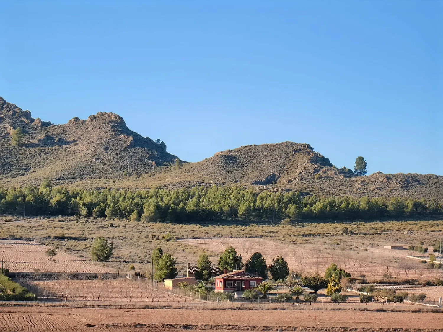 till salu hus på landet Torre Molina Huerta De Murcia 3