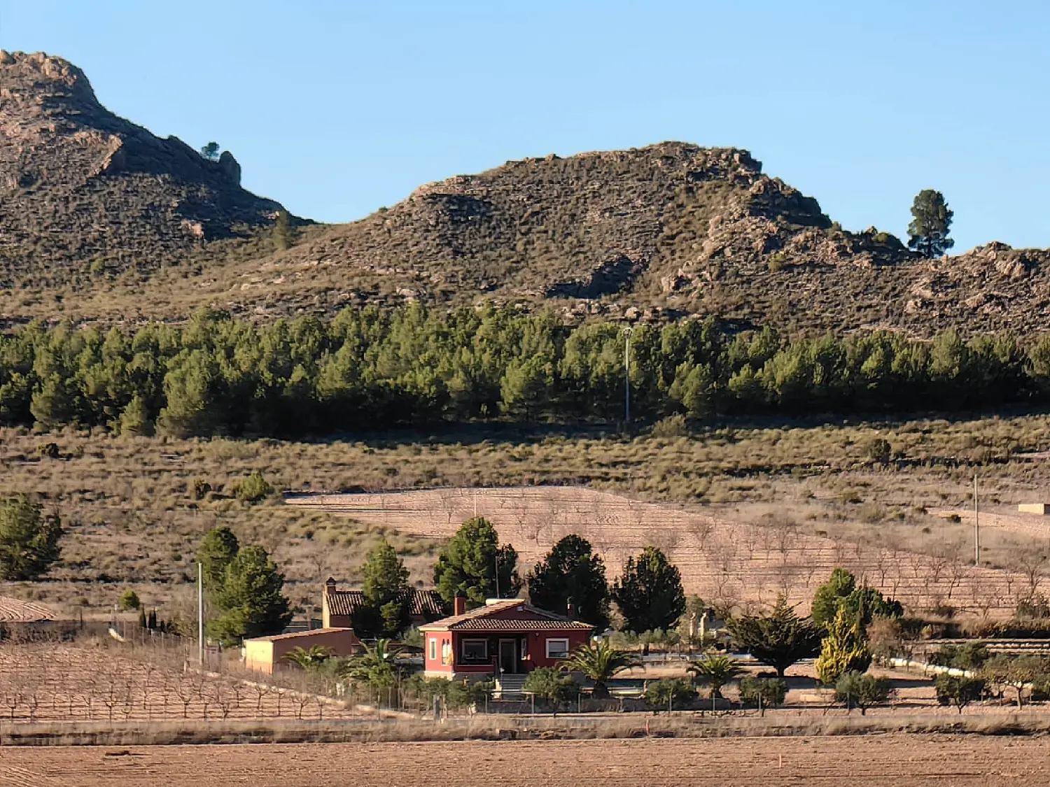  till salu hus på landet Torre Molina Huerta De Murcia 20