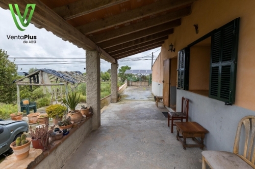 Sineu Pla (Es) hus på landet foto 6224507