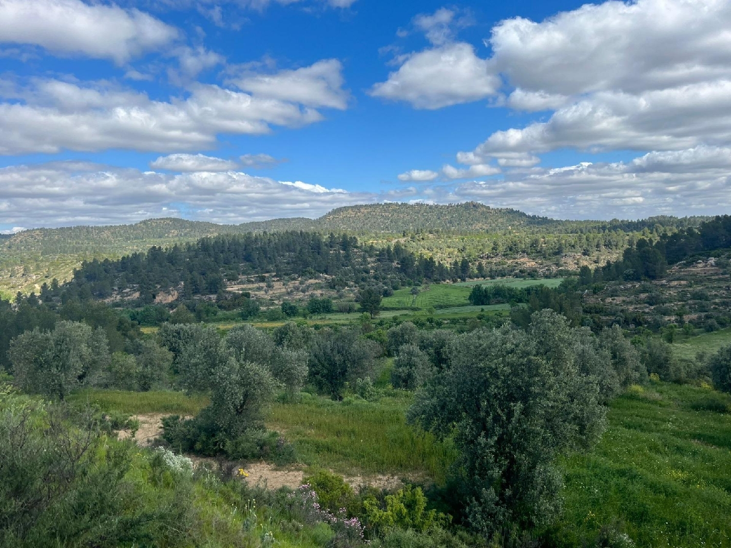  till salu hus på landet Oliete Andorra-Sierra De Arcos 2