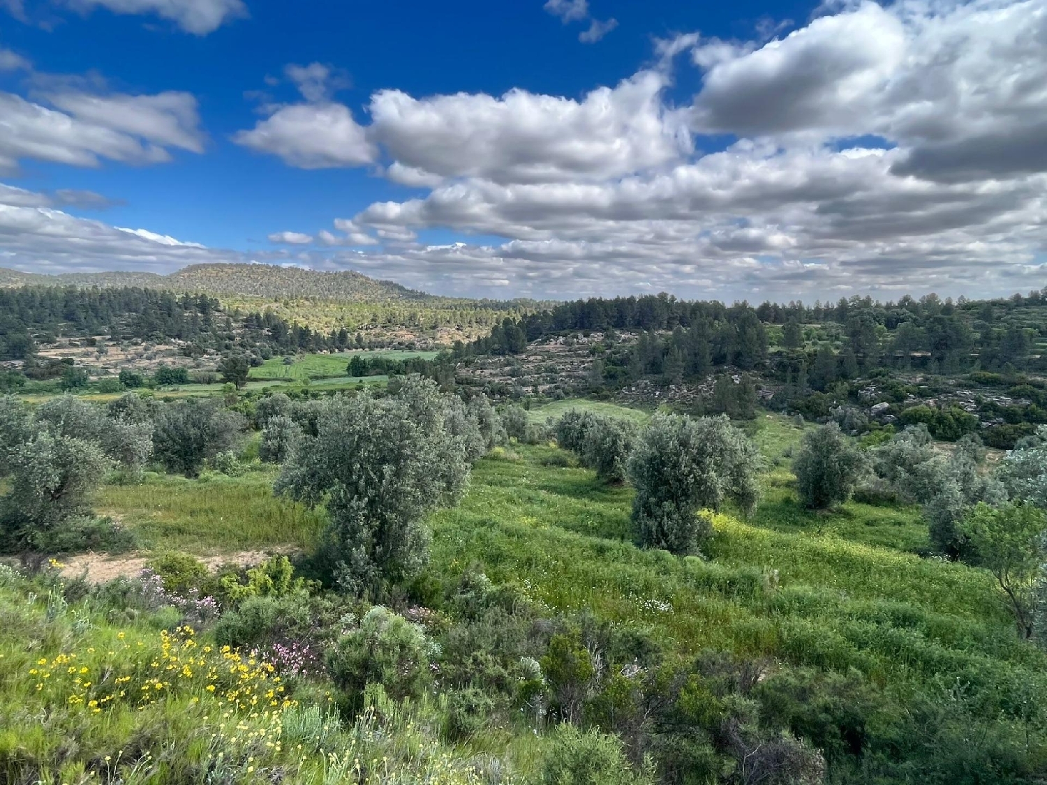  till salu hus på landet Oliete Andorra-Sierra De Arcos 1
