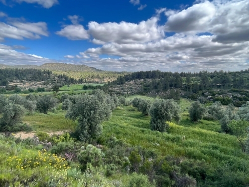 Oliete Andorra-Sierra De Arcos hus på landet foto 6215207