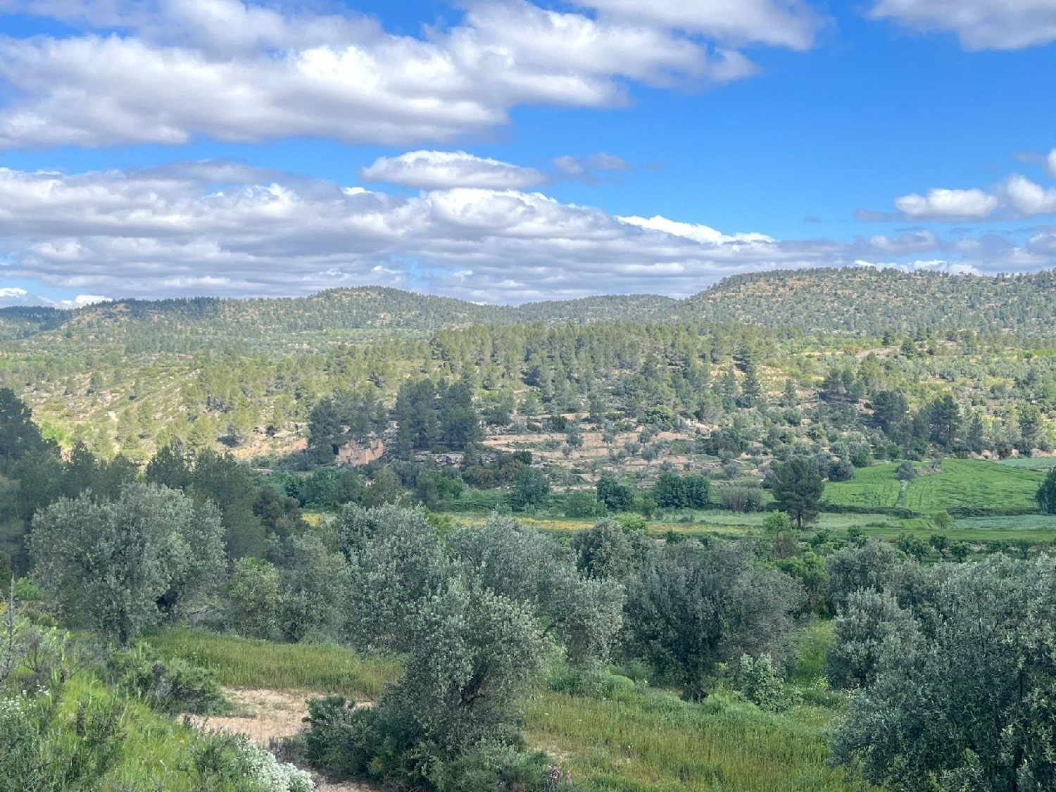  till salu hus på landet Oliete Andorra-Sierra De Arcos 4