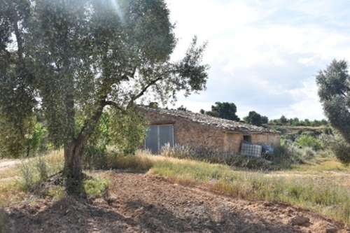Solano De La Vega Gúdar-Javalambre hus på landet foto 6253063