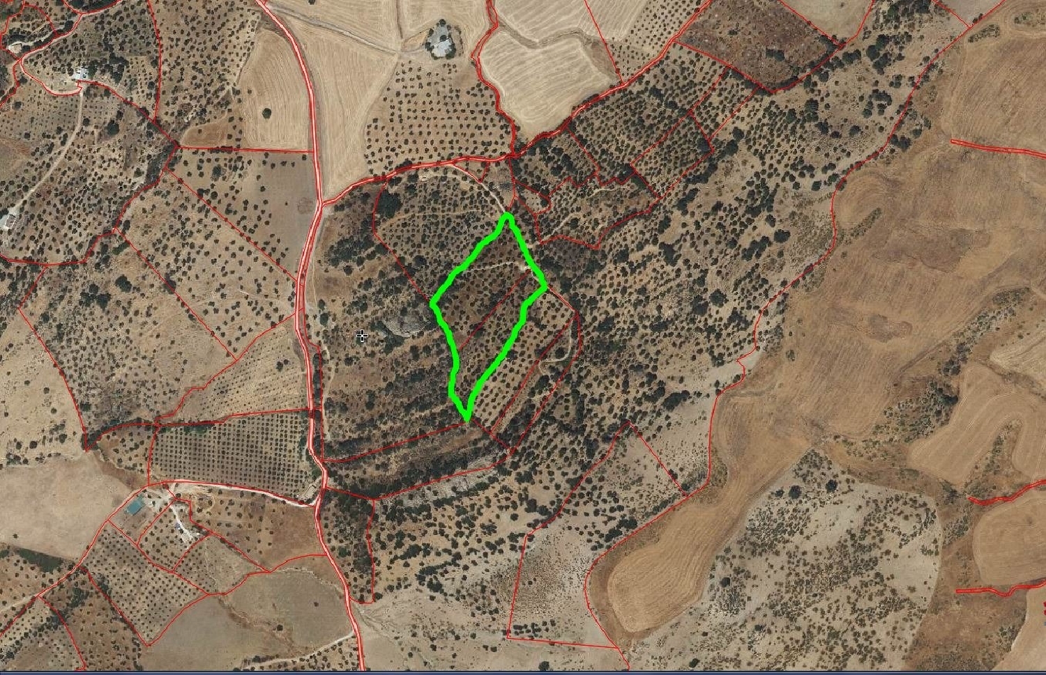  en venta finca rústica Benamahoma Sierra De Cádiz 3