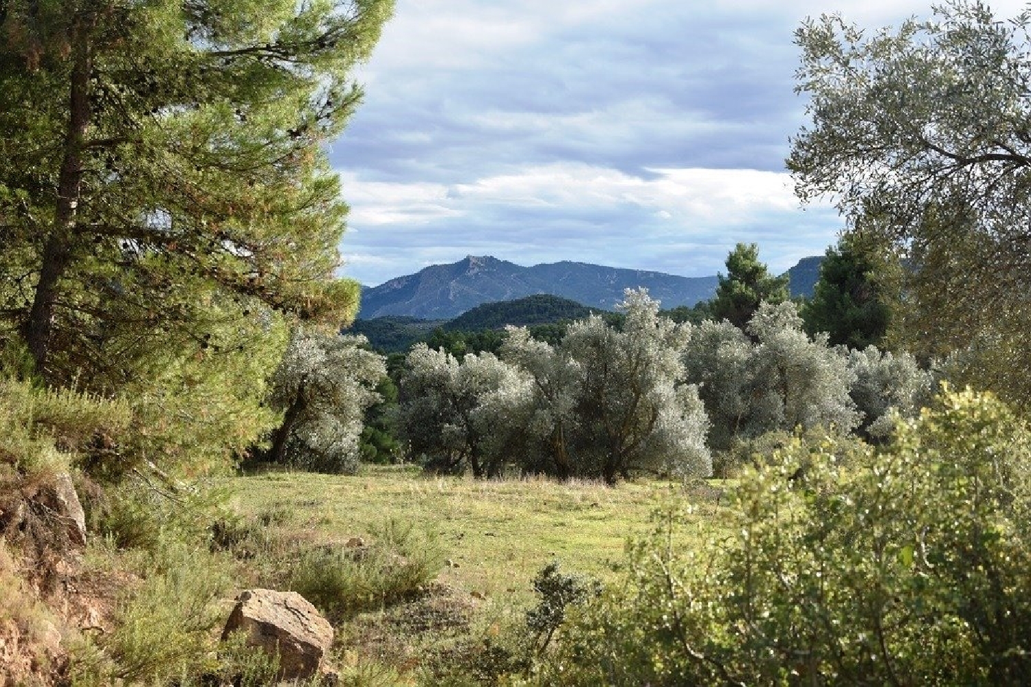  till salu hus på landet Torres De Albarracín Sierra De Albarracín (La) 1