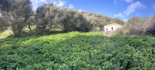 El Gastor Sierra De Cádiz hus på landet foto 6189254