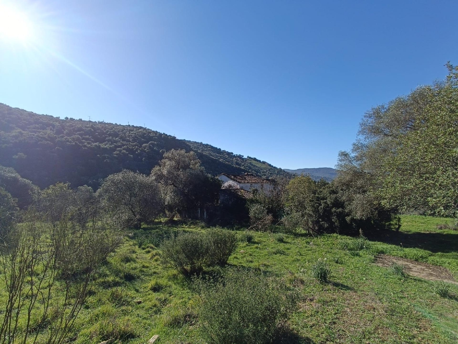  till salu hus på landet Ubrique Sierra De Cádiz 6