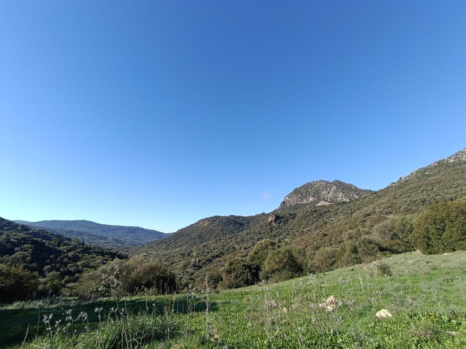  till salu hus på landet Ubrique Sierra De Cádiz 7