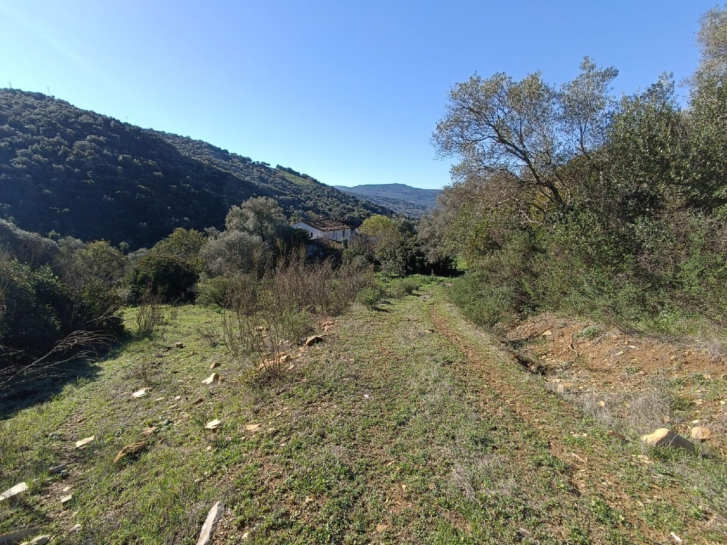  till salu hus på landet Ubrique Sierra De Cádiz 5