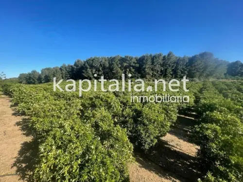 Urbanitzacio Les Aigües Vall D''albaida hus på landet foto 6186146
