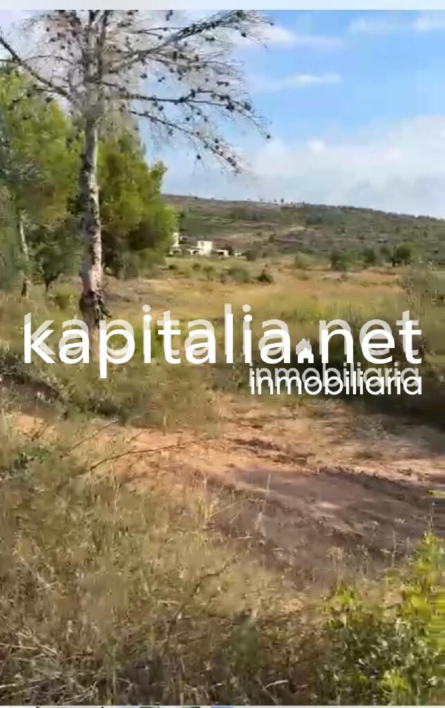  till salu hus på landet Urbanitzacio El Pilar Vall D'albaida 6
