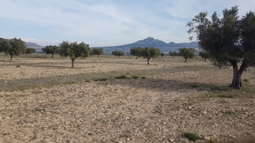 Urbanización Cava Negra Alt Vinalopó hus på landet foto 6227081