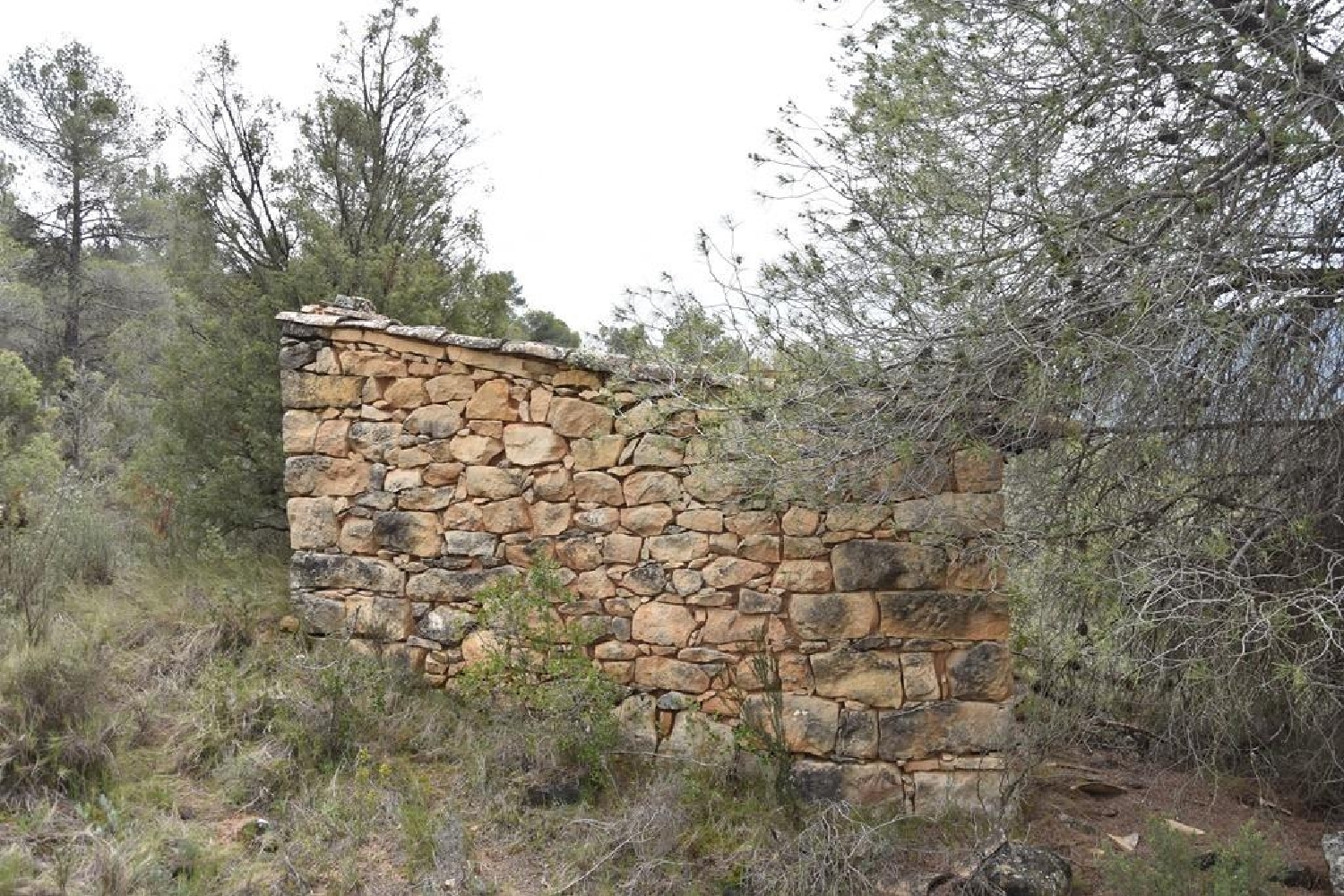  till salu hus på landet Valderrobres Matarraña 3