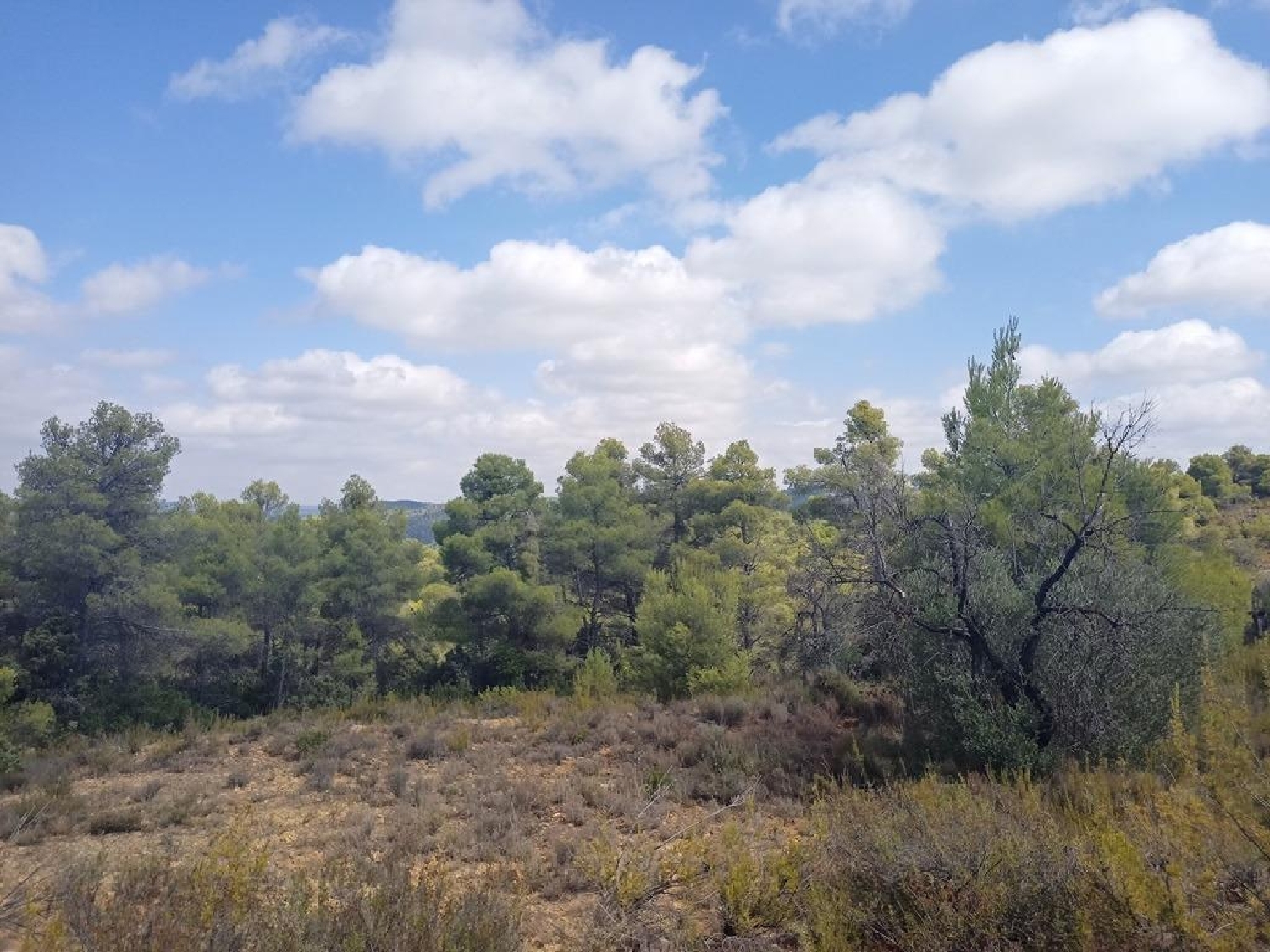  till salu hus på landet Valderrobres Matarraña 8
