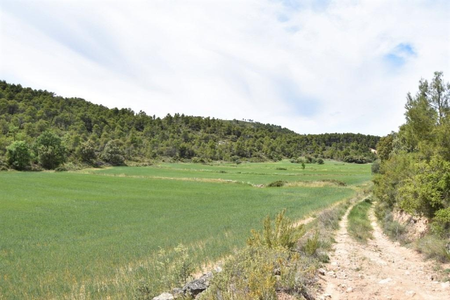  till salu hus på landet Valderrobres Matarraña 8
