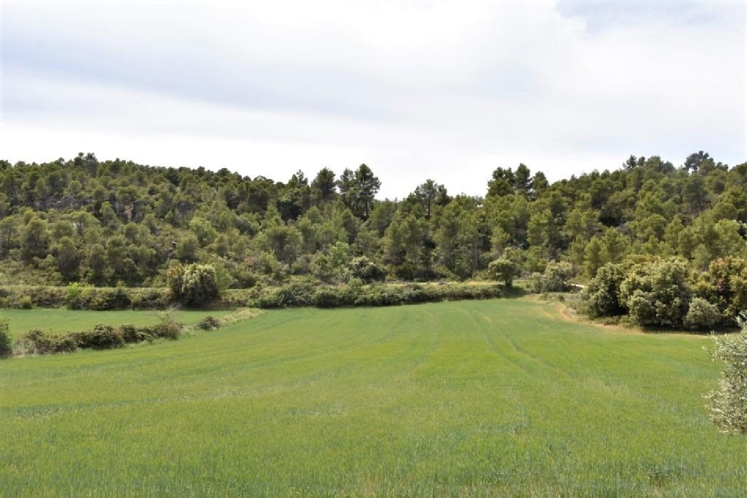  till salu hus på landet Valderrobres Matarraña 7