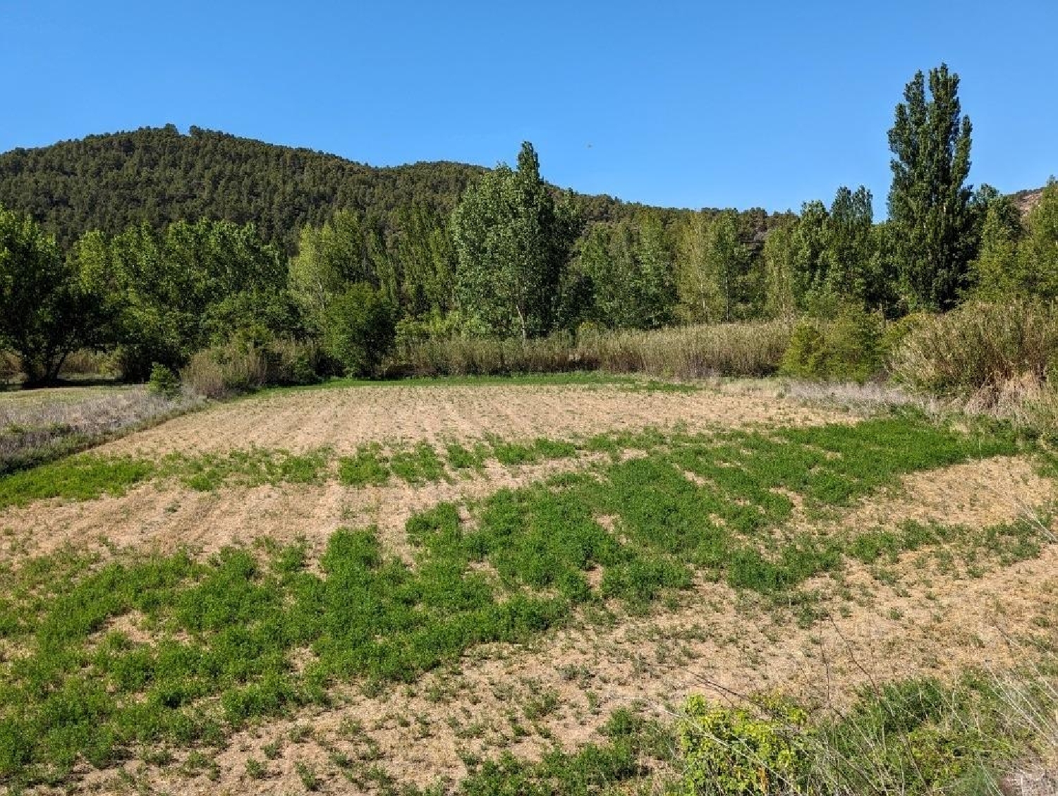  till salu hus på landet Valderrobres Matarraña 2