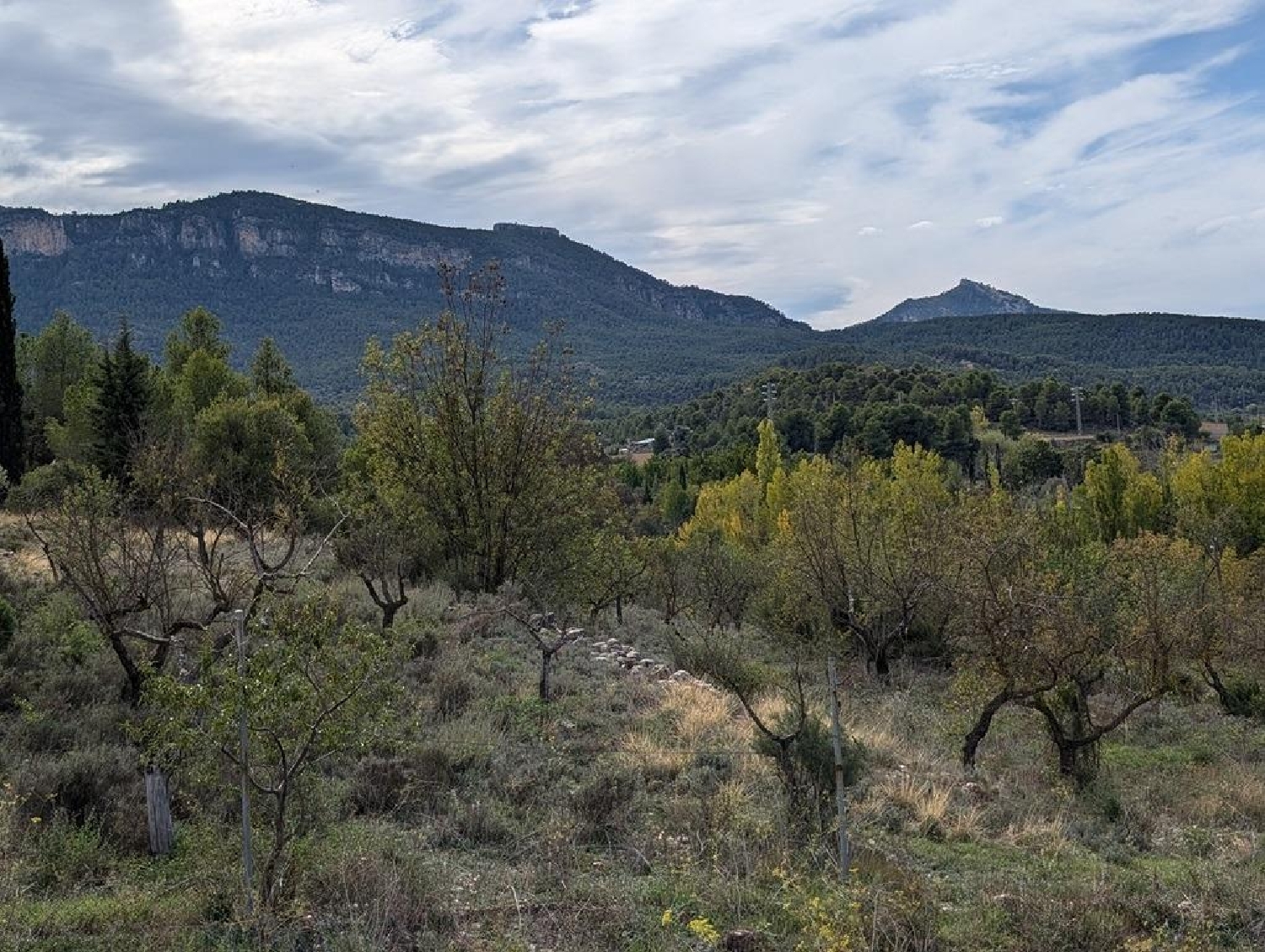  till salu hus på landet Valderrobres Matarraña 1