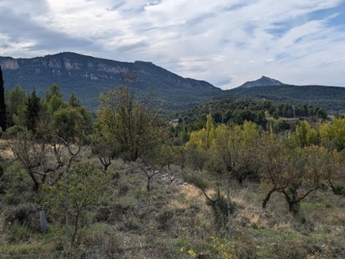 Valderrobres Matarraña hus på landet foto 6253191
