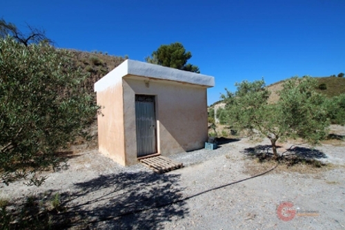 Vélez De Benaudalla Costa Tropical hus på landet foto 6255432