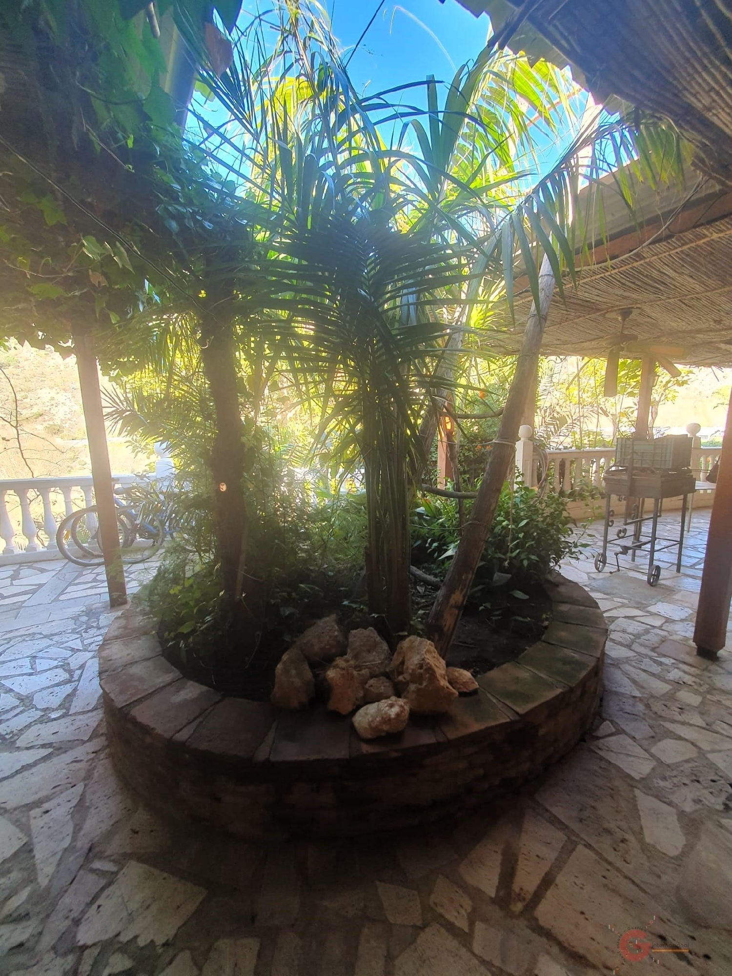  till salu hus på landet Vélez De Benaudalla Costa Tropical 4