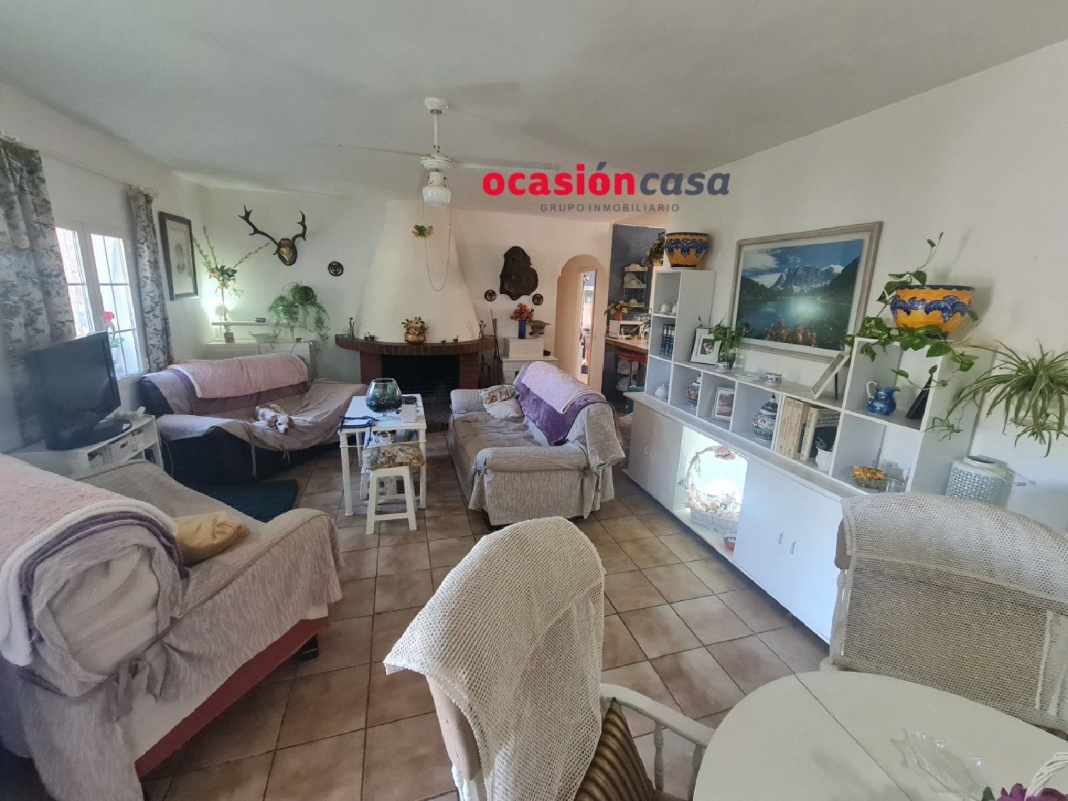  till salu hus på landet Villanueva Del Rey Valle Del Guadiato 6