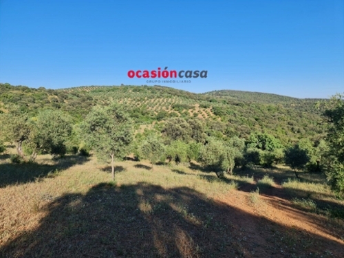 Villanueva Del Rey Valle Del Guadiato hus på landet foto 6232134