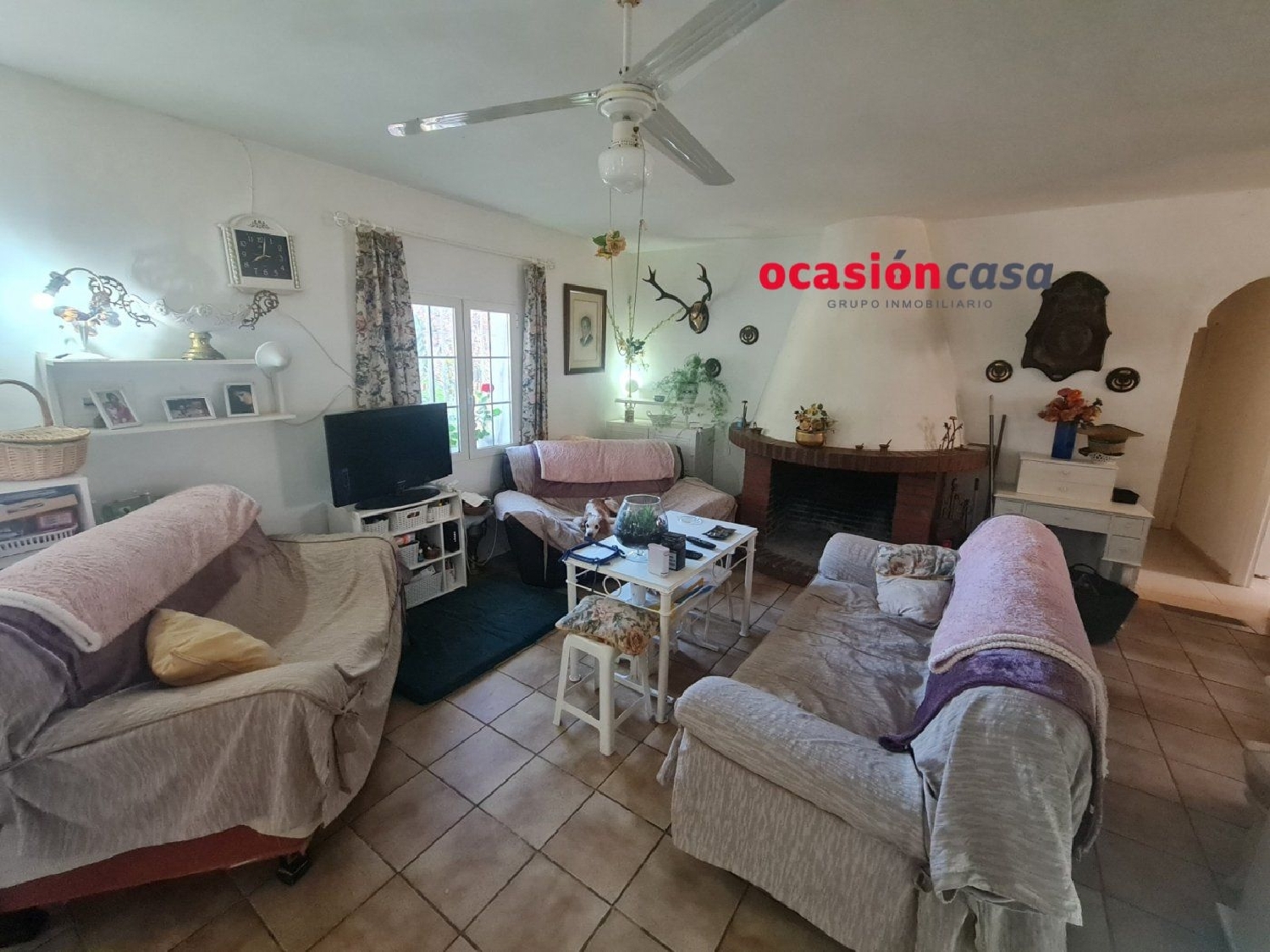  till salu hus på landet Villanueva Del Rey Valle Del Guadiato 7