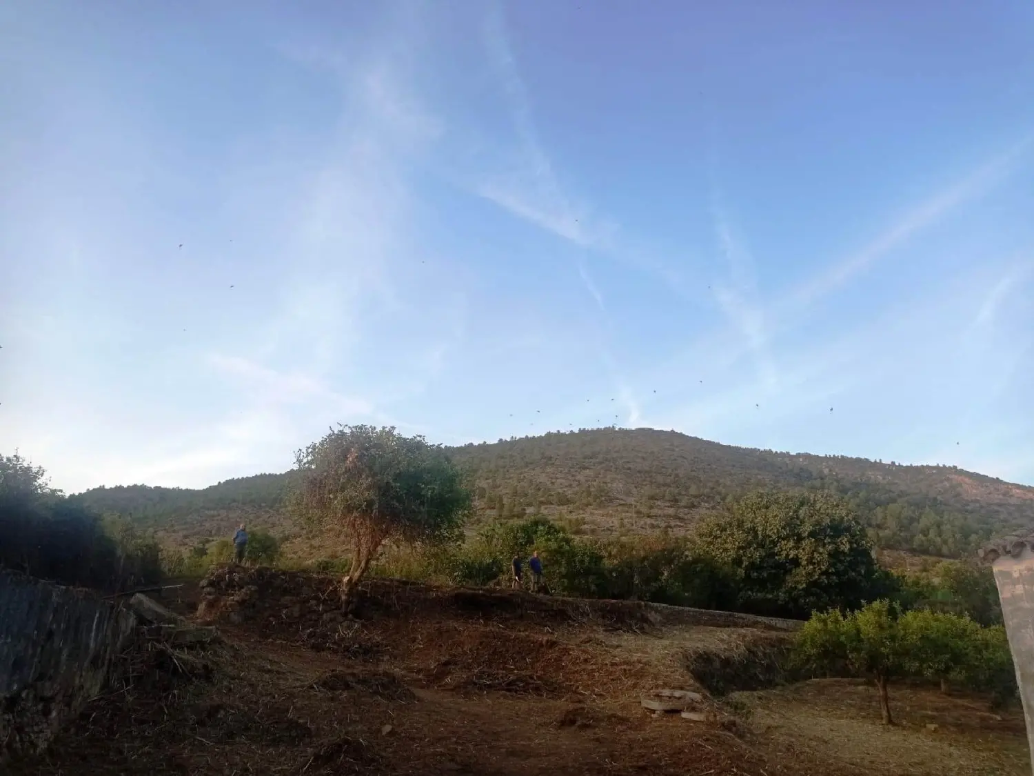  till salu hus på landet Zahara De La Sierra Sierra De Cádiz 5