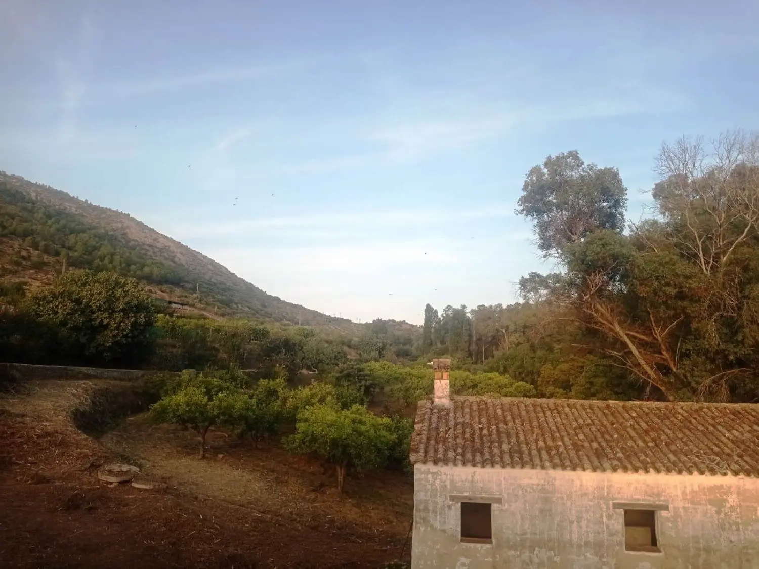  till salu hus på landet Zahara De La Sierra Sierra De Cádiz 4