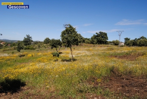 Zarza La Mayor Vega De Alcántara hus på landet foto 6224038