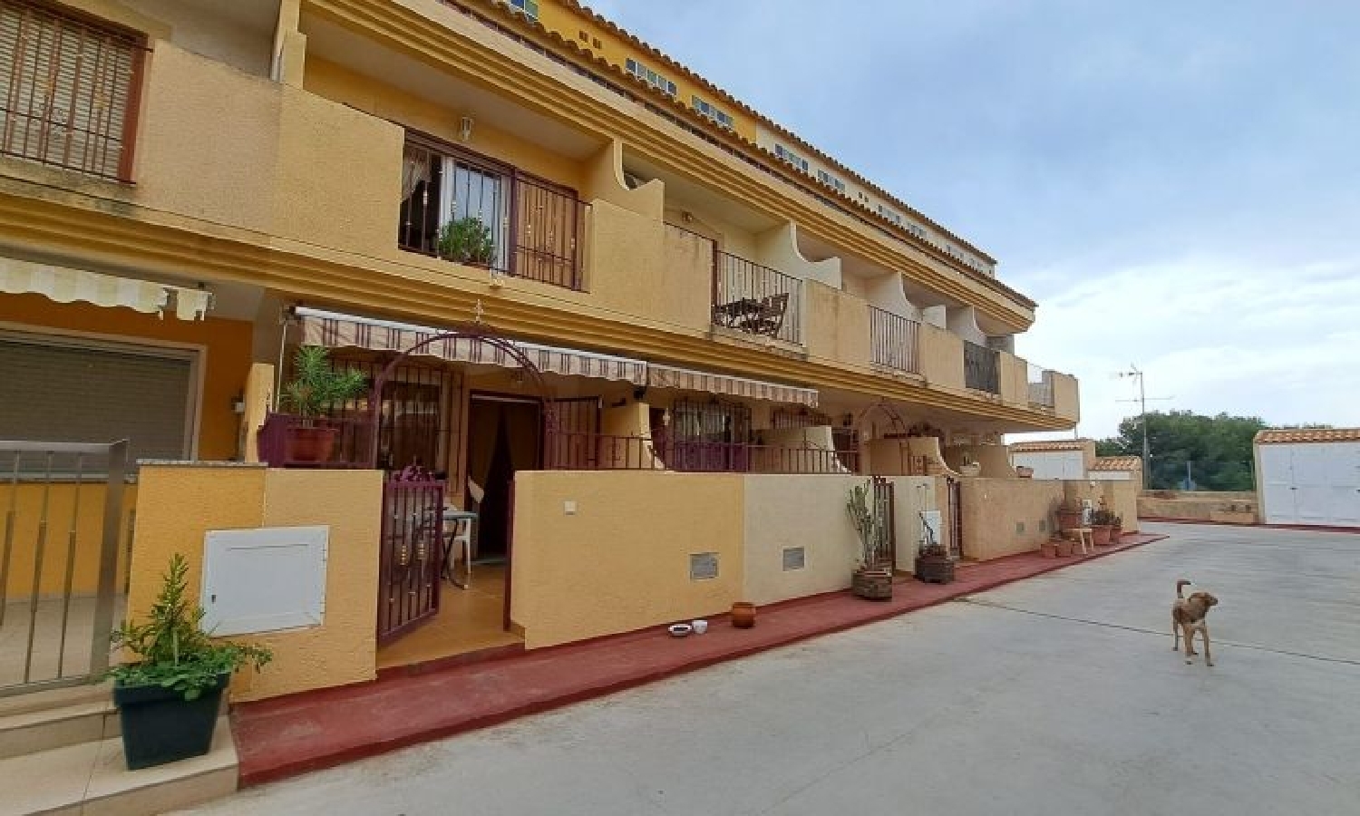  à vendre duplex Urbanización La Regía Baix Segura 5