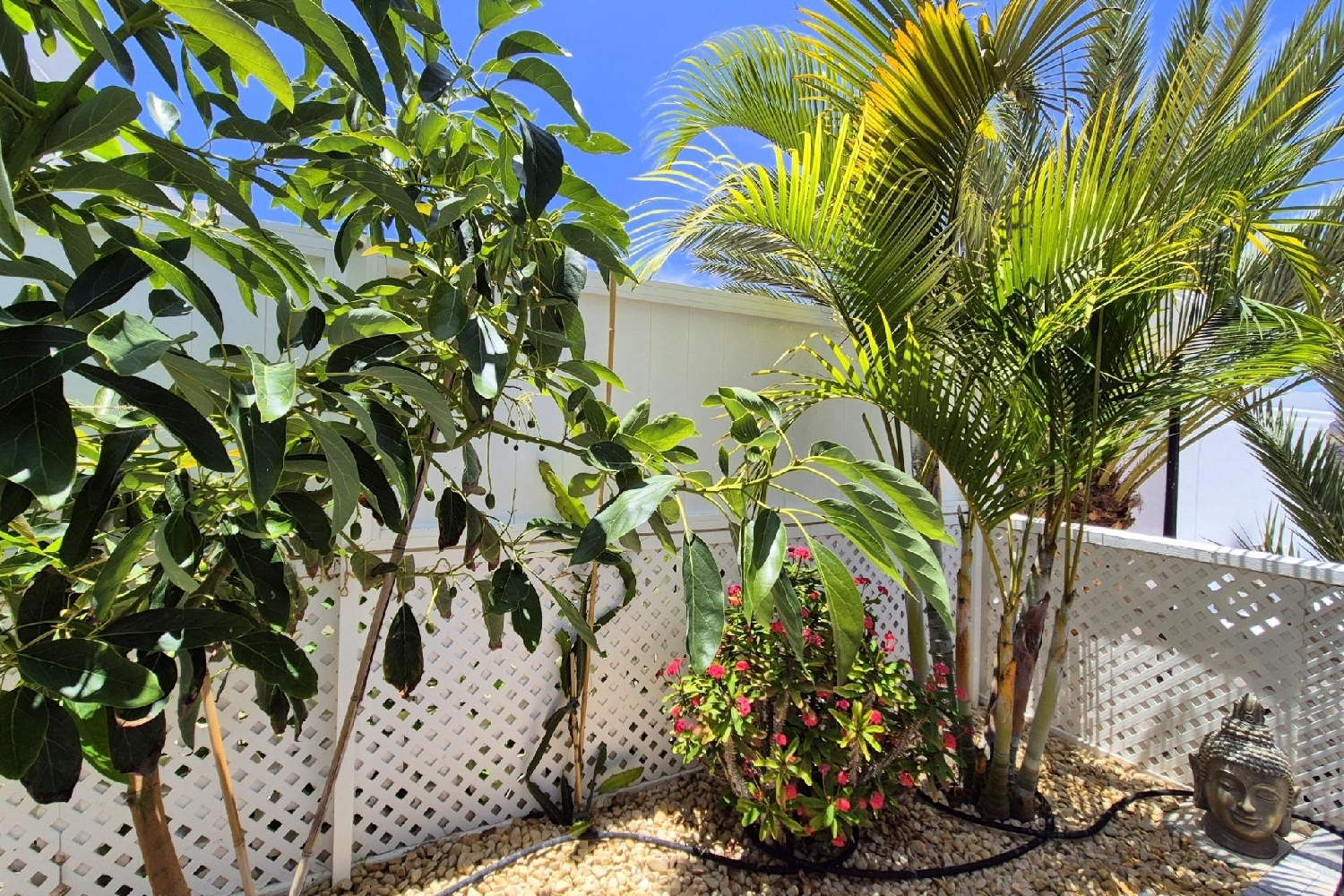  till salu etagevåning Puerto Rico Área Sur 7
