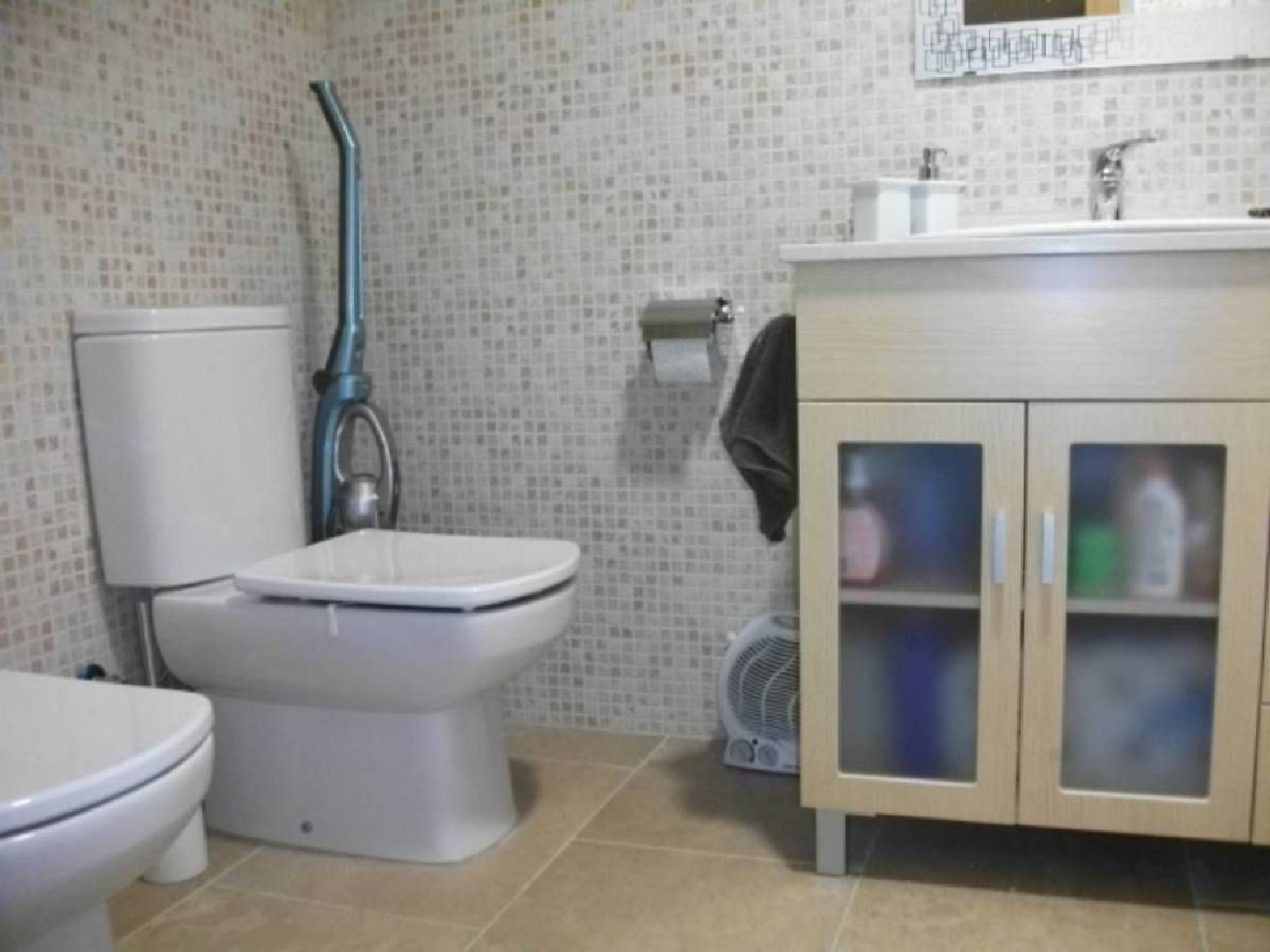  for sale duplex Can Xesc Bages 8