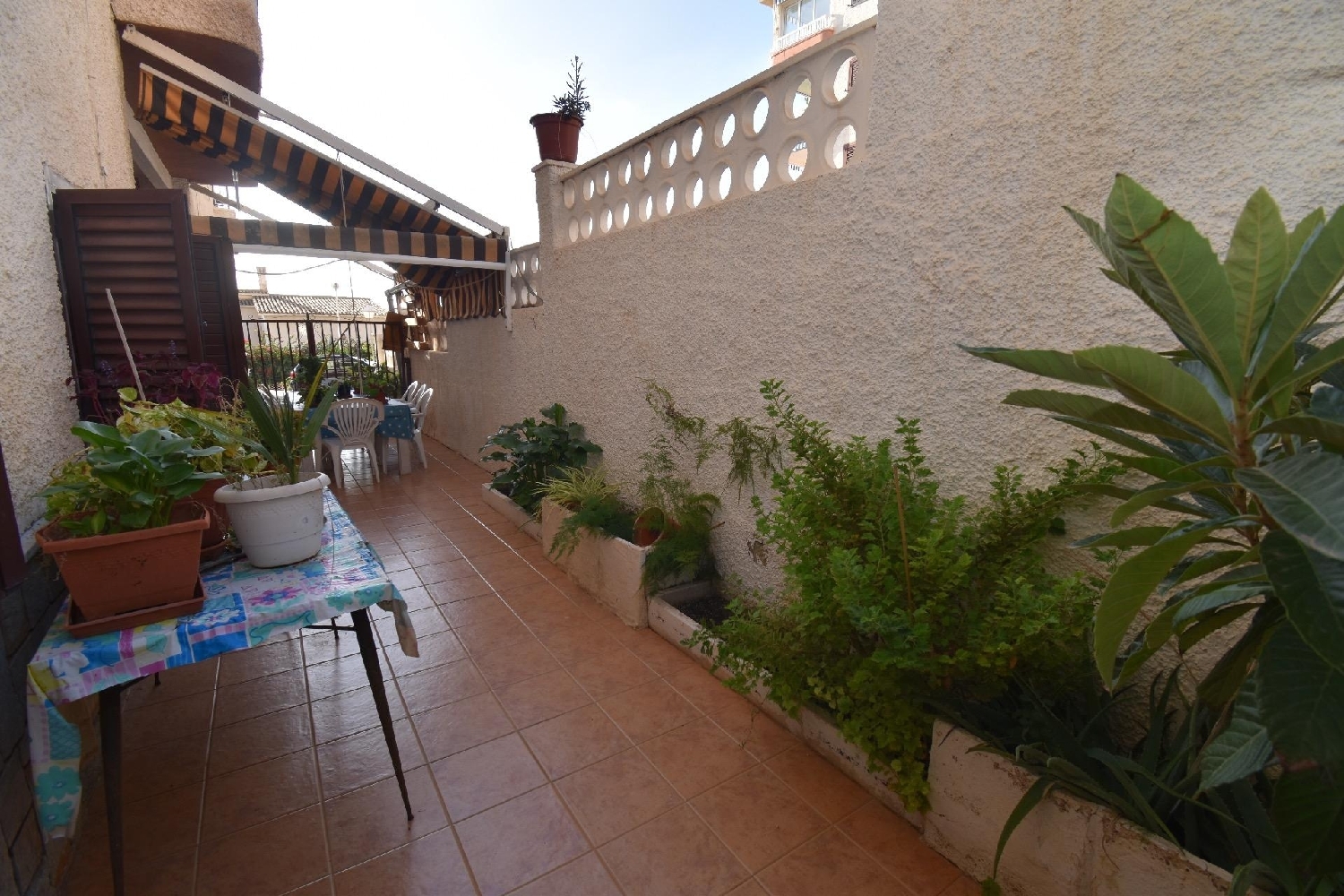  till salu bottenvåning Punta La Sierra Baix Vinalopó 5
