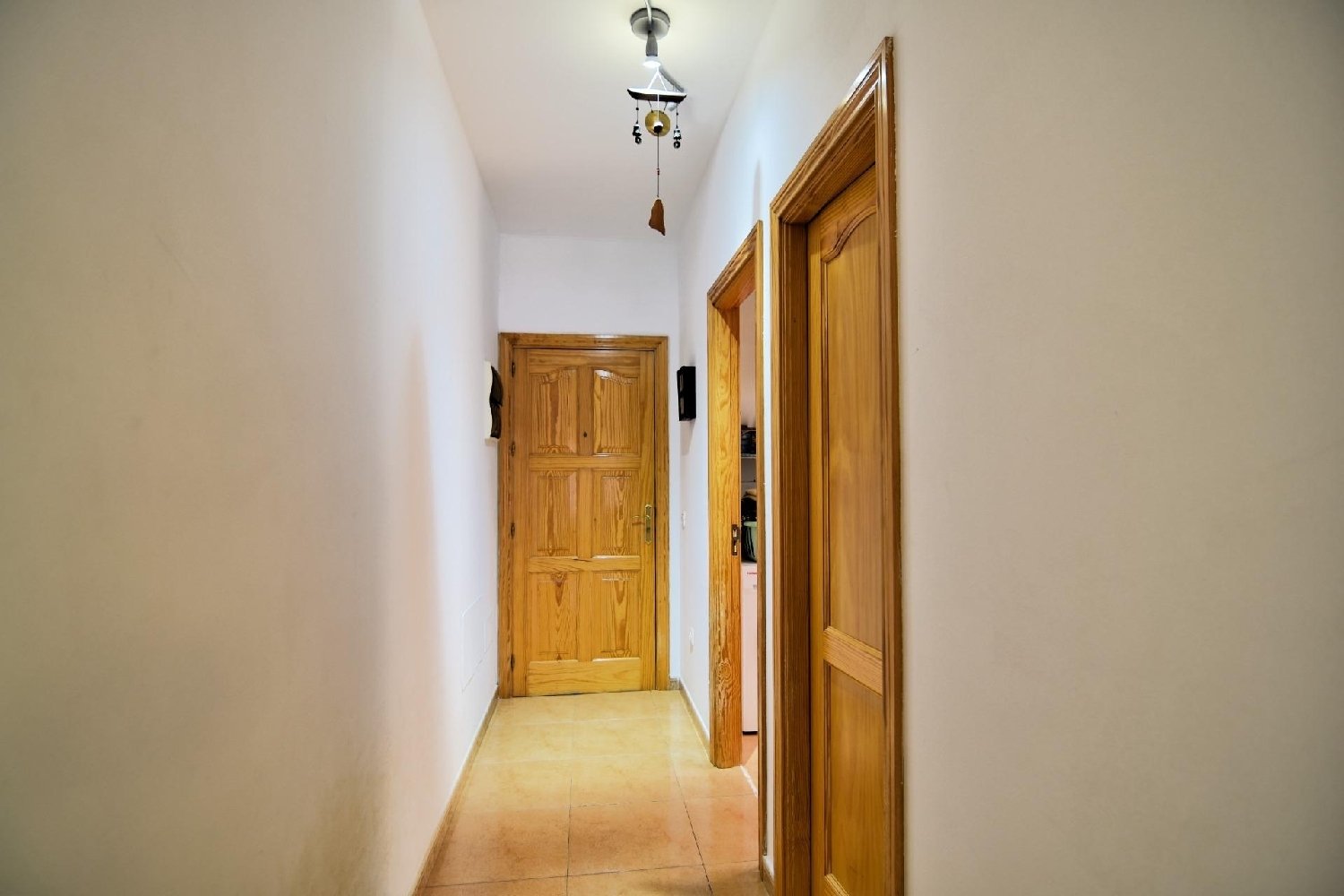  en venta planta baja S. Pedro Martir i Área Sur 2
