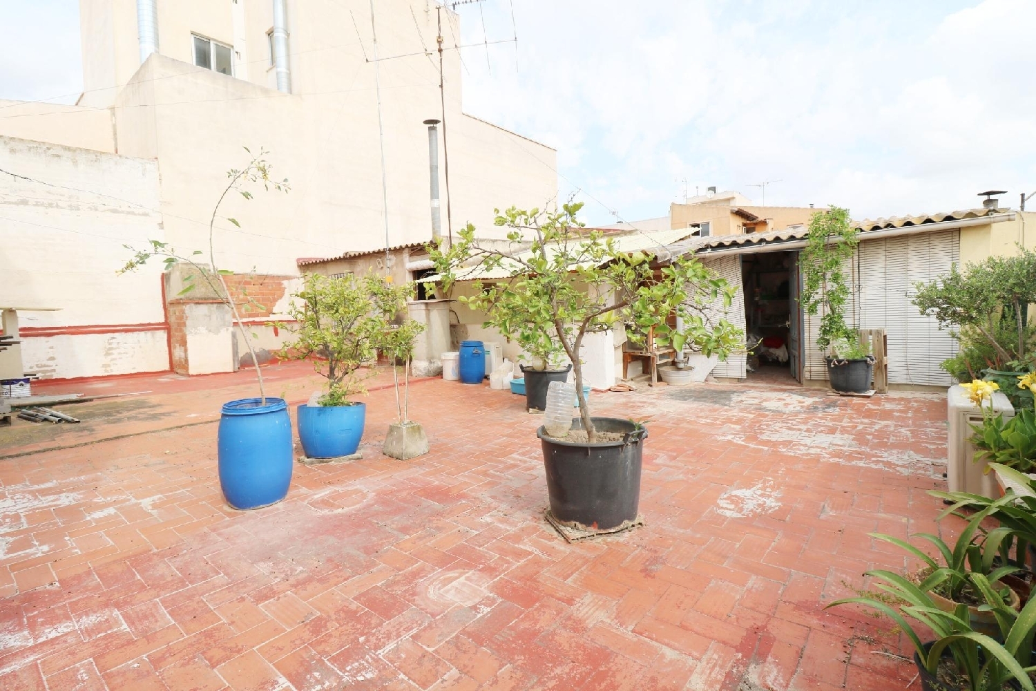  till salu bottenvåning San Felipe Neri Baix Vinalopó 4