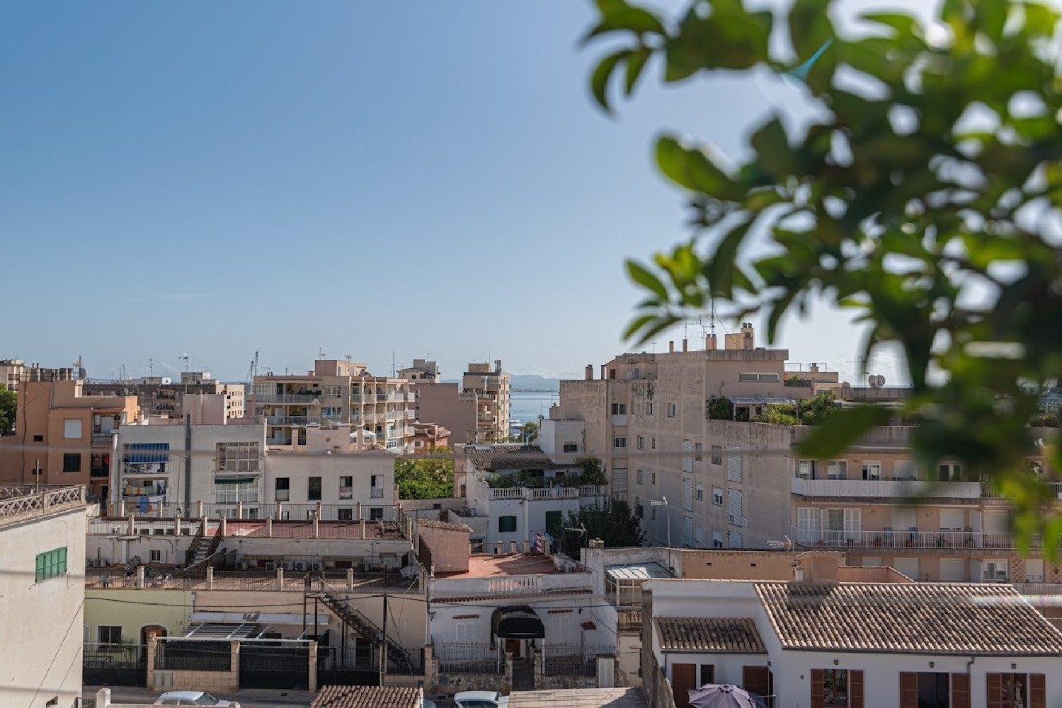 till salu bottenvåning Son Armadams-El Terreno Palma 3