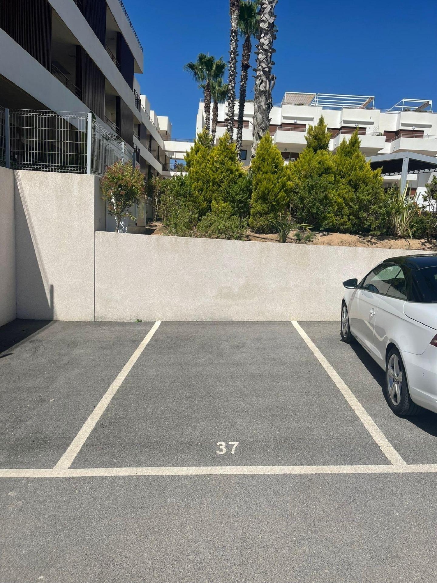  till salu bottenvåning Dehesa De Campoamor Baix Segura 25