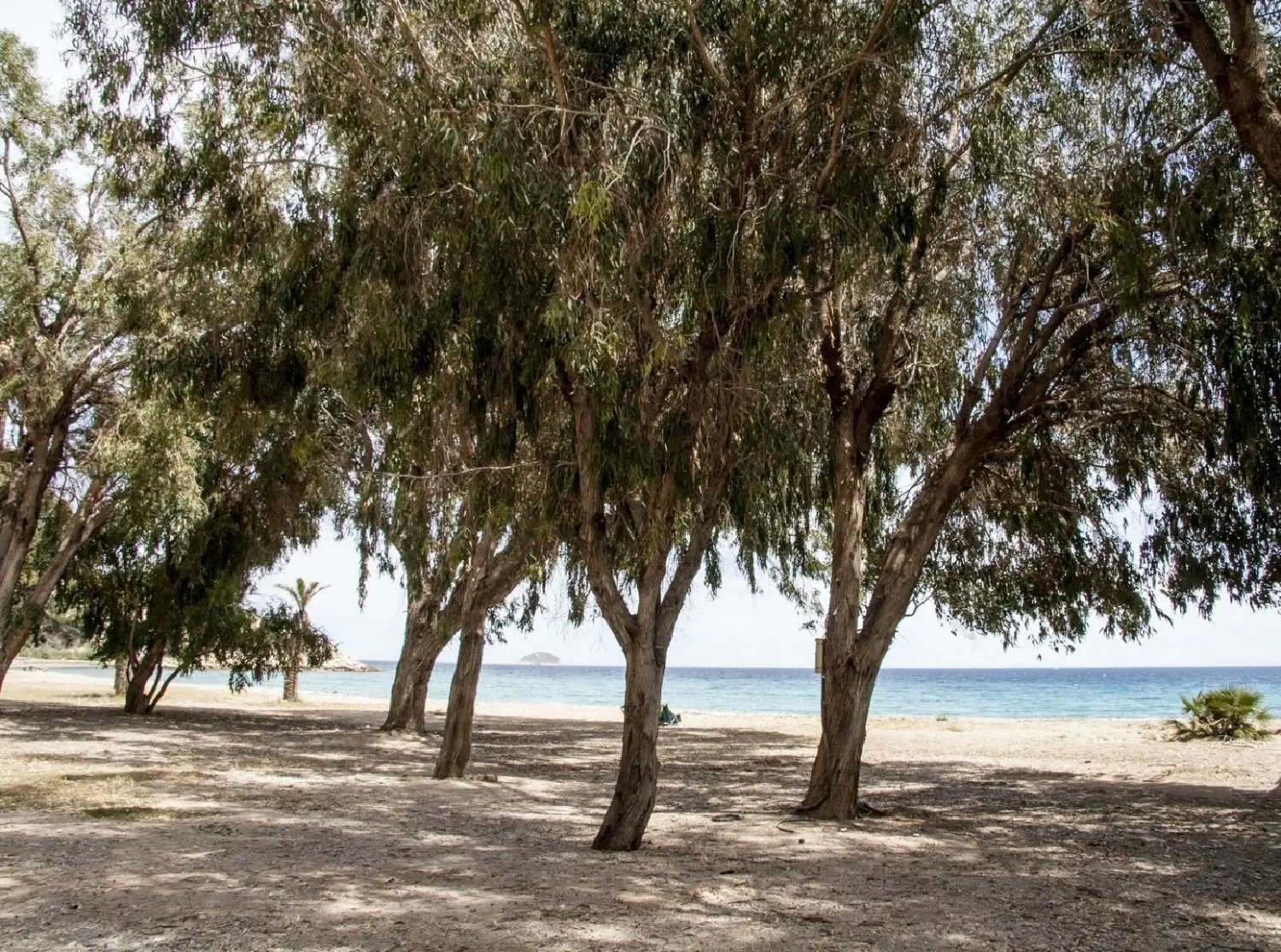  till salu bottenvåning Mediterraneo Almadraba Marina Baixa 11
