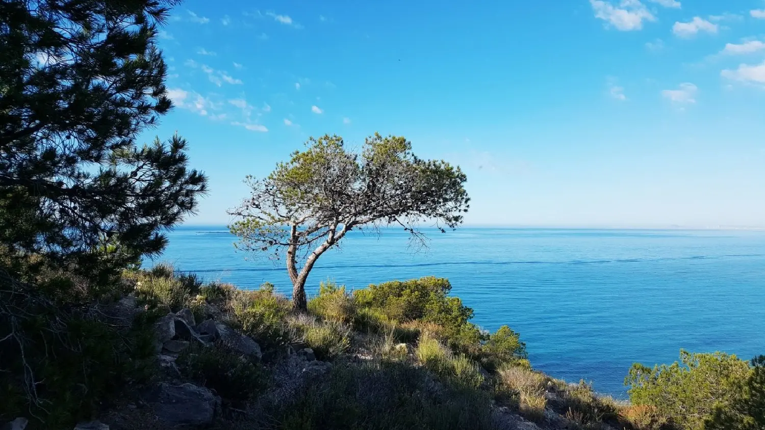  till salu bottenvåning Mediterraneo Almadraba Marina Baixa 14