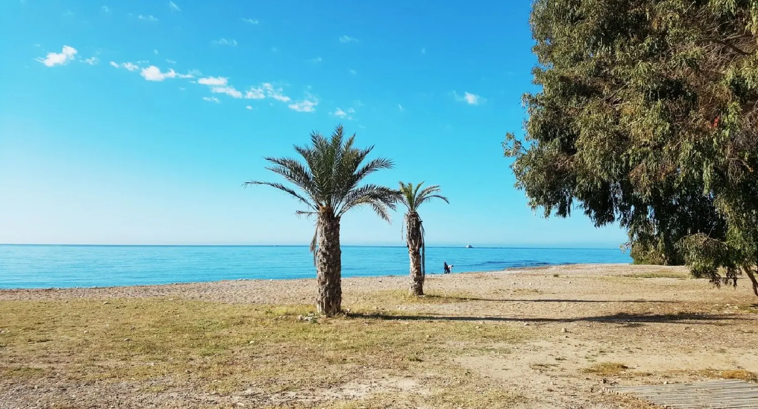  till salu bottenvåning Mediterraneo Almadraba Marina Baixa 13
