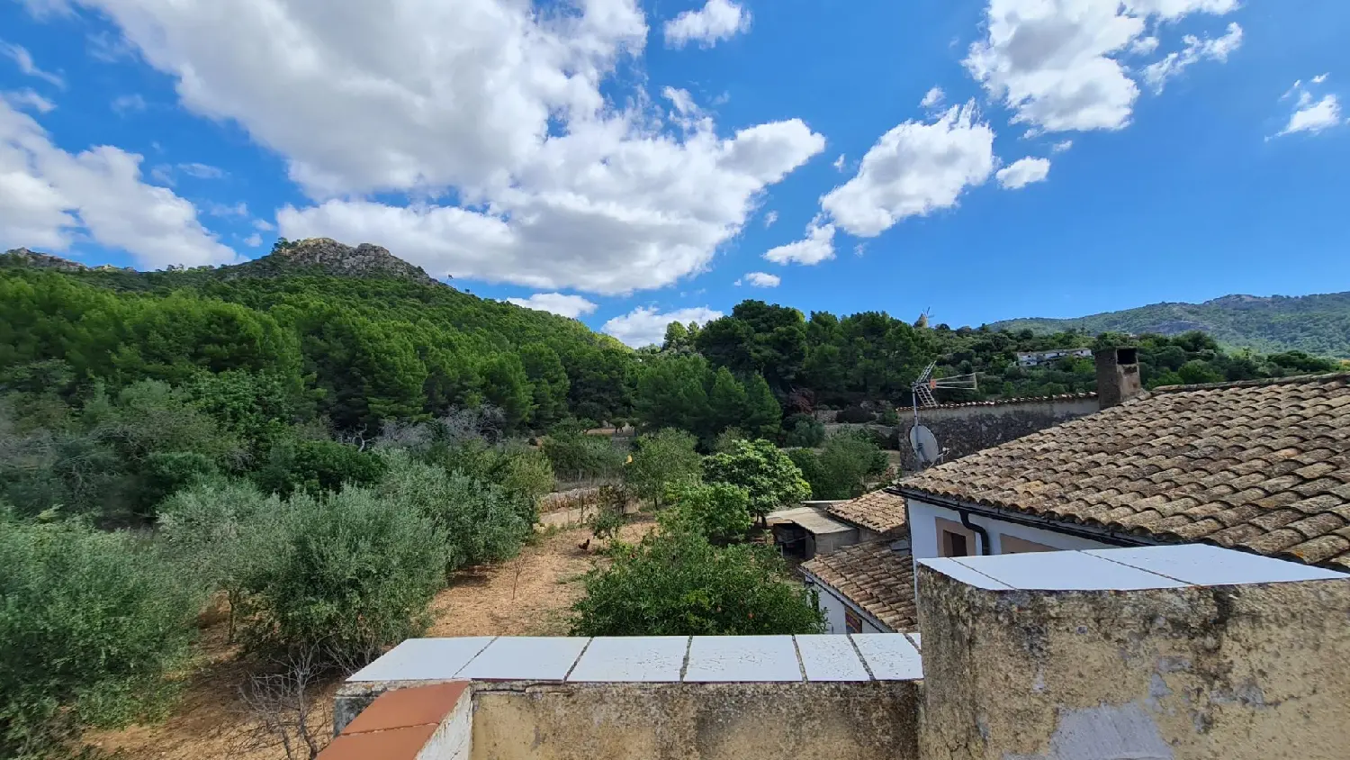  till salu hotell Cales De Mallorca Llevant 1