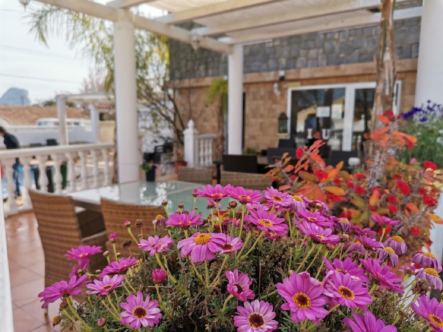  till salu hotell Enchinent Marina Alta 6
