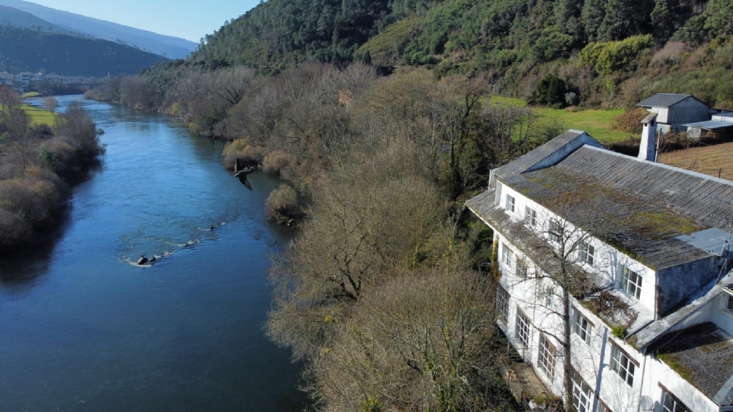  till salu hotell Parteme Quiroga 6