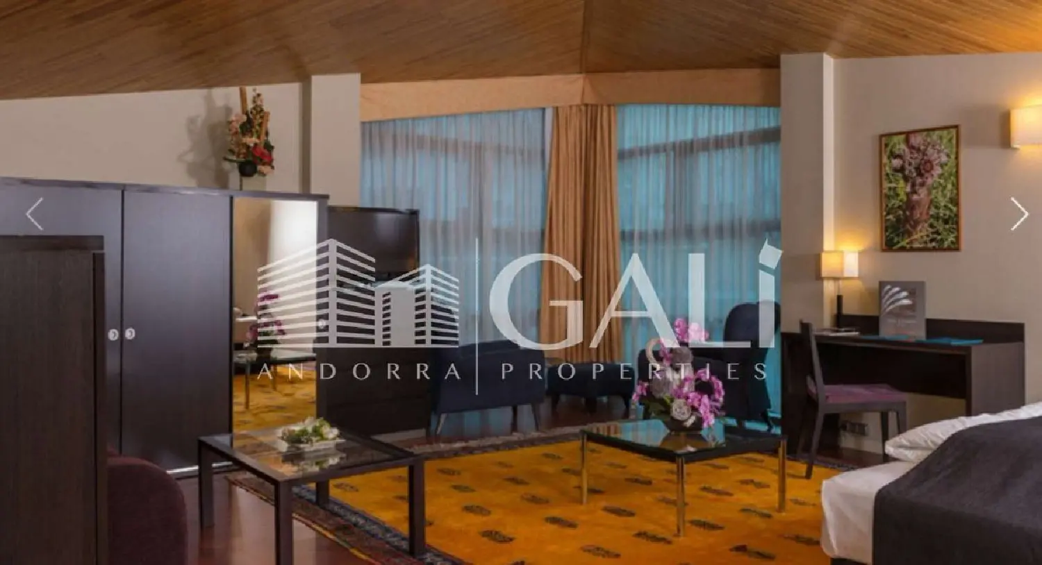  till salu hotell El Plans Canillo 5