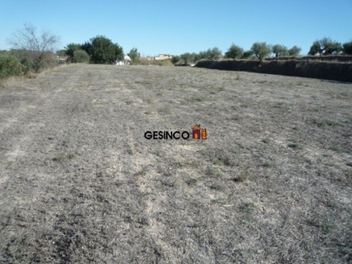 Agullent Vall D''albaida hus foto 6232747